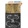 Harry Potter And The Chamber Of Secrets