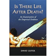 Is There Life After Death? An Examination of the Empirical Evidence