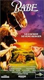 Revue Polygram video  / Babe : Le Cochon devenu berger - VOST