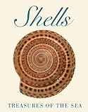  : Shells