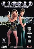 Ringer - Unter falschem Namen - Shannon Whirry