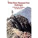 The Welsh Three Thousand Foot Challenges: A Guide for Walkers and Hill Runners