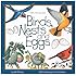 Birds, Nests & Eggs (Take Along Guides)