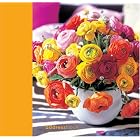 Simple Chic Flowers Address Book by  Ryland Peters & Small