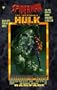 Spiderman and the Incredible Hulk: Rampage (Doom's Day, Book One)