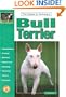 The Guide to Owning a Bull Terrier
