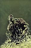 Roots of the Swamp Thing Vol. 1