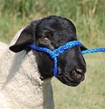 HLTR POLY ROPE ADJ SHEEP H.BL &