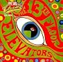 Psychedelic Sounds Of The 13th Floor Elevators Psychedelic Sounds Of The 13th Floor Elevators