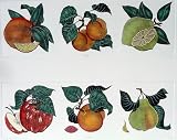 Hand-Colored Etching Vegetable Panes 1 and 2 by Dan Mitra 10/750