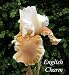 English Charm Bearded German Iris 1 Bulb