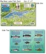 Franko's Laminated California Fish ID Cards 6" x9" ALL OPTIONS, Channel Islands, Catalina, Monterey, many more, Authorized Dealer, Scuba Dive Fish, Fish Identification, Fish ID Card, Fish Cards