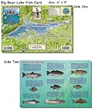 Franko's Laminated California Fish ID Cards 6 x9 ALL OPTIONS, Channel Islands, Catalina, Monterey, many more, Authorized Dealer, Scuba Dive Fish, Fish Identification, Fish ID Card, Fish Cards