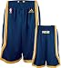 Search : Indiana Pacers Team Color Swingman Shorts