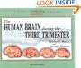Atlas of Human Central Nervous System Development -5 Volume Set: The Human Brain During the Third Trimester