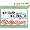 Atlas of Human Central Nervous System Development -5 Volume Set: The Human Brain During the Third Trimester