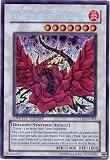 遊戯王 英語版 Black Rose Dragon ブラック・<strong>ローズ</strong>・ドラゴン Limited Edition シークレット CT05