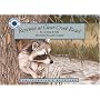 Raccoon At Clear Creek Road (Smithsonian Backyard)