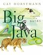 Image of Big Java