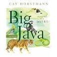 Big Java