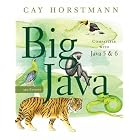 Click here to buy Big Java by Cay S. Horstmann.