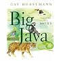 Big Java