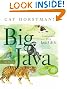 Big Java