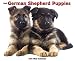 German Shepherd Puppies 2011 Wall Calendar (Just)