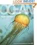 Ocean (American Museum of Natural History)