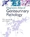 Book Diagnostic Atlas of Genitourinary Pathology