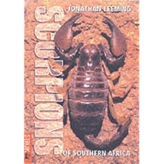 Scorpions of Southern Africa