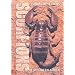 Scorpions of Southern Africa