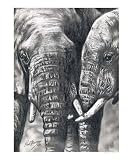 African Elephant, Kenya Animals Giclee Poster Print by Pius T Kamau, 16x20