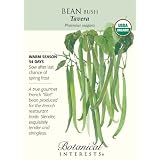 Bean Bush Tavera (French Filet) Certified Organic Seed