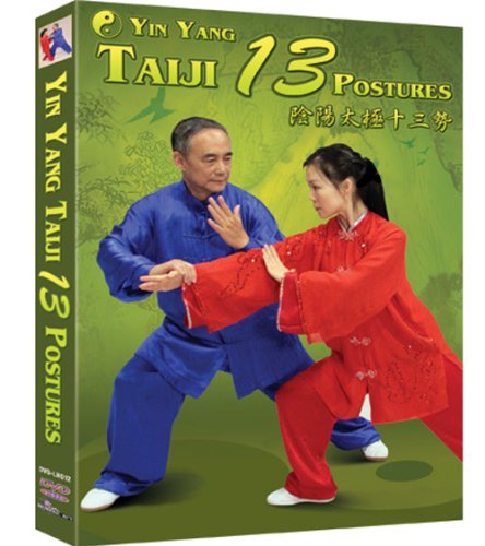 Yin Yang Taiji 13 Postures
