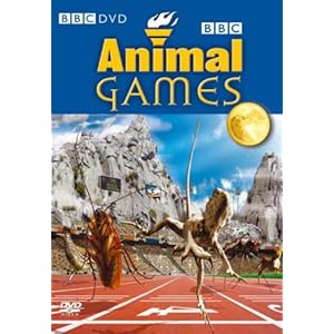 animal games