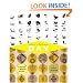 Robin and Lucienne Day: Pioneers in Modern Design