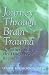 Book Journey Through Brain Trauma: A Mother's Story of Her Daughter's Recovery