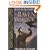 The Raven Warrior (Tales of Guinevere)