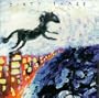 Horse Stories