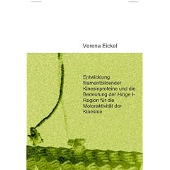 Entwicklung filamentbildender Kinesinproteine und die Bedeutung der Hinge I-Region f�r die Motoraktivit�t der Kinesine
