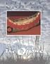 The Ojibwe (Lifeways, Set 2)