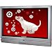SunBriteTV SB-3230HD All-Weather Outdoor 32-Inch 720p LCD HDTV, Gray