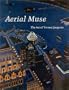 Aerial Muse: The Art of Yvonne Jacquette