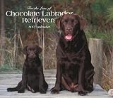 For the Love of Chocolate Labrador Retrievers 2007 Deluxe Calendar