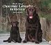 For the Love of Chocolate Labrador Retrievers 2007 Deluxe Calendar