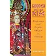 Goddess on the Rise: Pilgrimage and Popular Religion in Vietnam by Philip Taylor