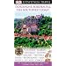 Dordogne (Eyewitness Travel Guides)