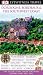 Dordogne, Bordeaux and the Southwest Coast (DK Eyewitness Travel Guide)