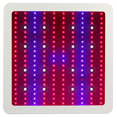 Morsen Full Spectrum 1200 Watt LED Grow Light For Indoor Plant Growing Flower Blooming